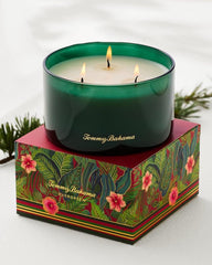 Beach & Home Candles & Diffusers | Tommy Bahama Evergreen 14.5-oz. Boxed 3-Wick Candle Evergreen