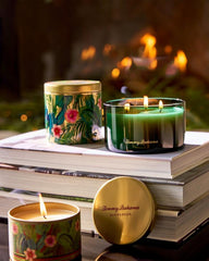 Beach & Home Candles & Diffusers | Tommy Bahama Evergreen 14.5-oz. Boxed 3-Wick Candle Evergreen