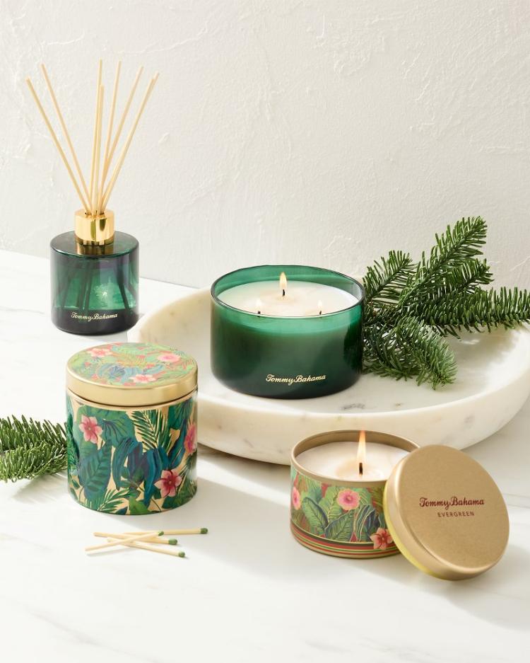 Beach & Home Candles & Diffusers | Tommy Bahama Evergreen 7.1-oz Travel Candle Tin Evergreen