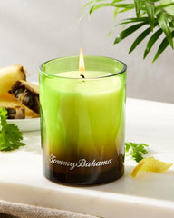 Beach & Home Candles & Diffusers | Tommy Bahama Pineapple Cilantro 7.5-oz. Boxed Poured Candle Pineapple Cilantro