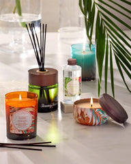 Beach &amp; Home Candles &amp; Diffusers | Tommy Bahama Maui Mango 7.5-oz. Boxed Poured Candle Maui Mango