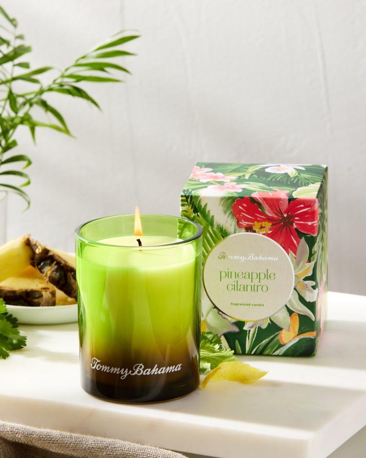 Beach &amp; Home Candles &amp; Diffusers | Tommy Bahama Pineapple Cilantro 7.5-oz. Boxed Poured Candle Pineapple Cilantro