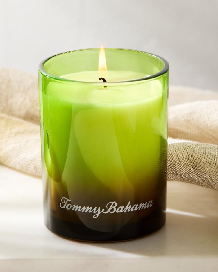 Beach &amp; Home Candles &amp; Diffusers | Tommy Bahama Pineapple Cilantro 7.5-oz. Boxed Poured Candle Pineapple Cilantro