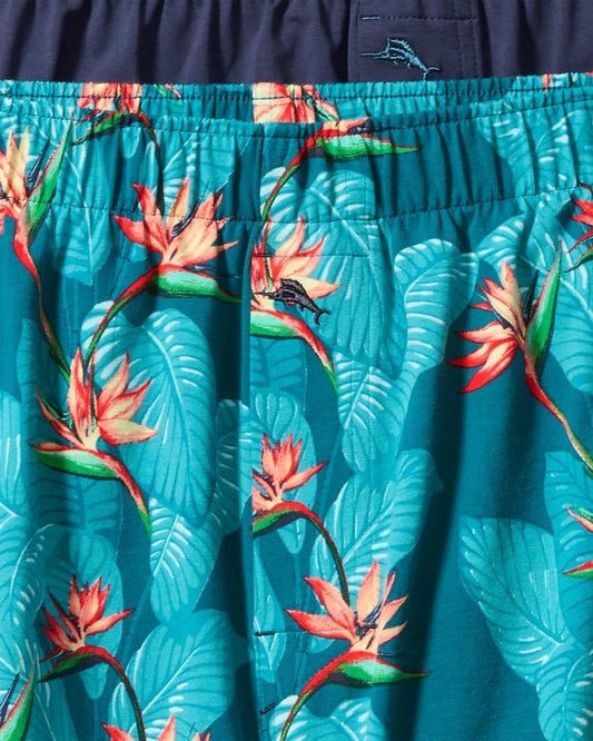 Men Underwear | Tommy Bahama Big &amp; Tall Tropical Print &amp; Solid Knit Boxers—2-Pack Bright Teal